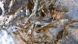 Private & Secluded Beach | Sooriya Resort & Spa | #Tangalle# | Travel Vlog #4