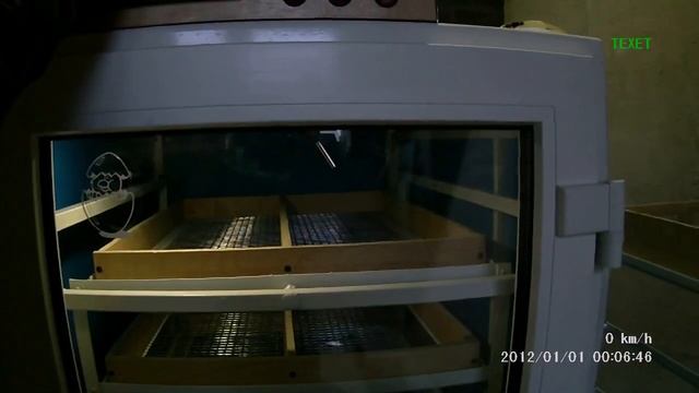 Универсальный инкубатор на 700 яиц. смотреть онлайн