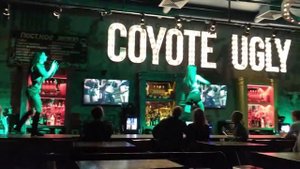 Бар Гадкий койот Москва ч2