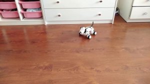 Робот Собака Bluesea Smart Dog