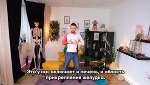 Кишечник, желудок, печень, поджелудочная железа! Как наладить работу органов  Упражнения цигун