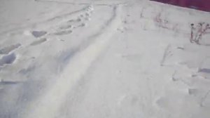 Лёгкие аэросани,поездка на р.Сейм