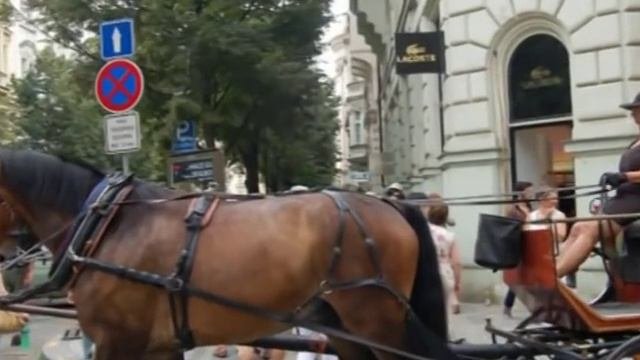Бродячие артисты