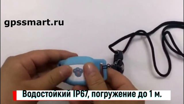 GPS трекер ошейник для животных Мини GPS FutureWay PetTracker FP03