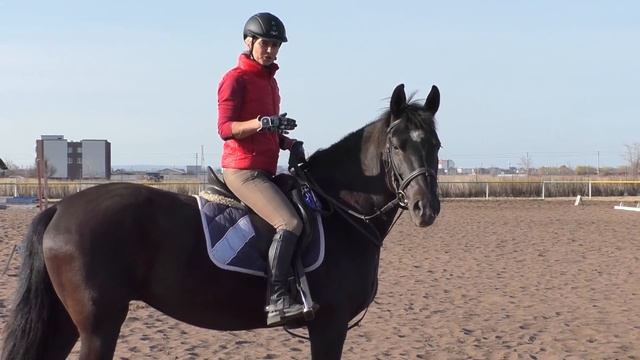 ПАДЕНИЕ С ЛОШАДИ смотреть онлайн