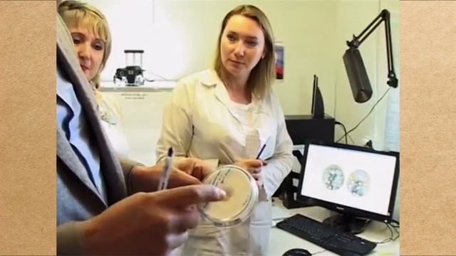 Опыт № 2005. Высокоэффективный Фитоспорин для обработки гороха от фитопатогенов смотреть онлайн