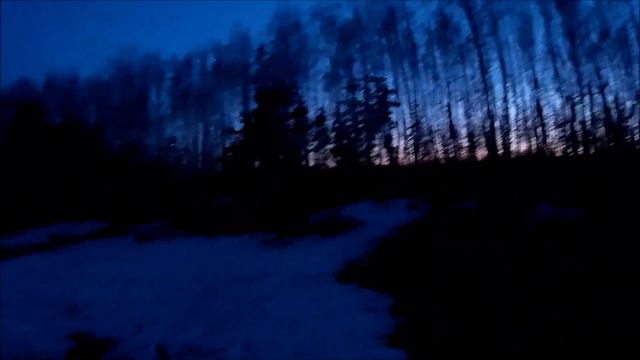 Первая охота.