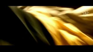 M/S Estonia | Adiemus