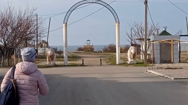 Съездили в Крым, купили участок. Посмотрели порядка 50 участков в, западной части Крыма.