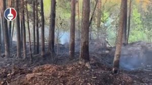 Противопожарный режим в Свердловской области