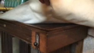 ГАЗ ГОРИТ КРУГЛЫЕ СУТКИ отопление дома газовой плитой))