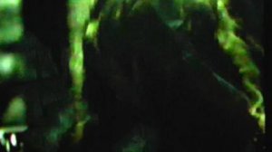 обезьяны берут людей в плен