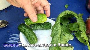 ЗАСОЛКА АРБУЗОВ... ВКУСНО И БЫСТРО. Не только на зиму. #засолка,#консервация,#арбузы