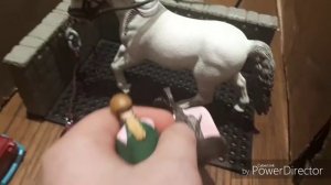 Один день на конюшне