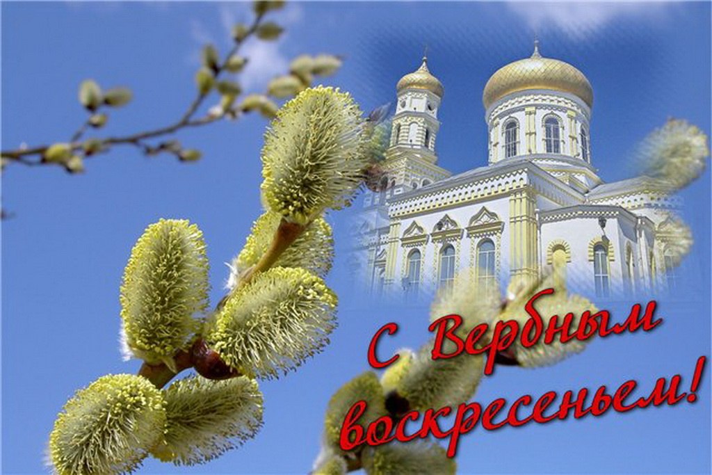 С ВЕРБНЫМ ВОСКРЕСЕНЬЕМ, ДРУЗЬЯ! МИРА ВАМ И ДОБРА