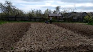 Подготовка огорода к посадке картофеля