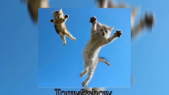 Егор Крид - самая самая (speed up) смотреть онлайн