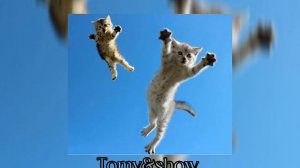 Егор Крид - самая самая (speed up)