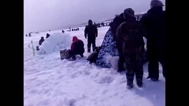 Отрыв льда во Взморье смотреть онлайн