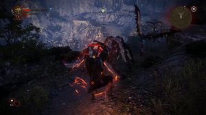 The Witcher 2 Enhanced Edtion ProtectorNova fights some Harpy's (Dark Mode)