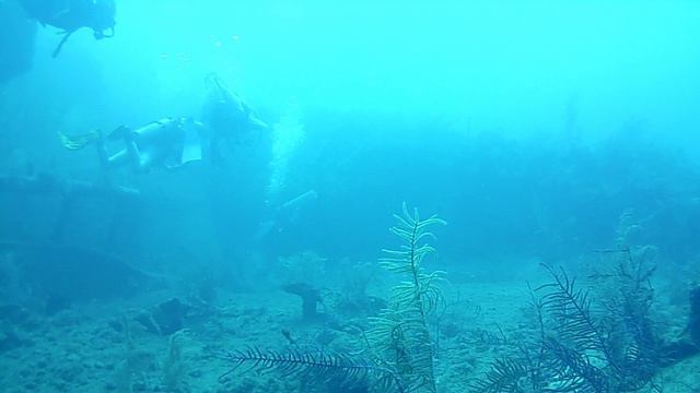 Lens: Погружение ч.1 о. Провиденсия Карибы, (Diving in Providencia Island).