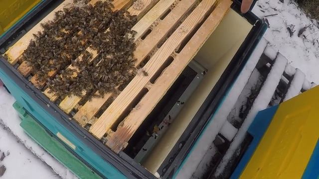 Вентиляция улья зимой Сырость в улье Зимовка пчел на улице смотреть онлайн