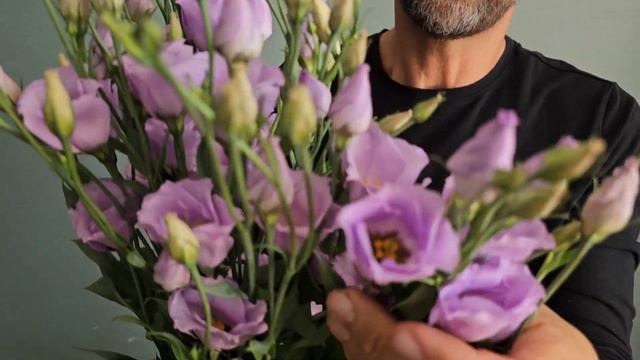 EUSTOMA E PICCOLO LAVENDER - Florea.cz смотреть онлайн
