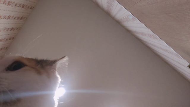 Июль | поездка в другой город, новый цвет волос, тихие будни смотреть онлайн