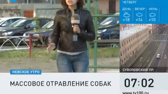 В Шушарах массово травят собак