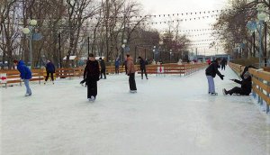 Челябинск. Ледовый каток среди деревьев в детском парке отдыха им. В.В.Терешковой. 28.11.2023г.