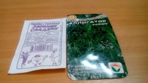 Обзор редиса "Французский завтрак", тыквы " Зимняя сладкая", укропа "Аллигатор"!!!