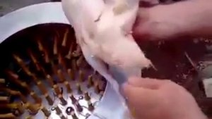 Лайфхак как почистить курицу или утку