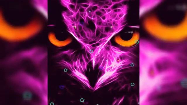 Слайд шоу из картинок нэо животных смотреть онлайн