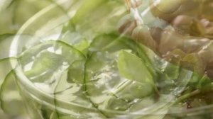 Салат из щавеля. Салат с копченым лососем.