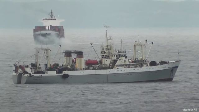 БАТМ "Сивинд-1", Владивосток.