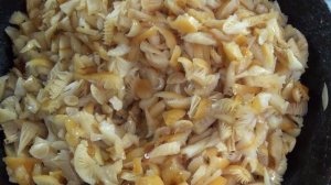 Зимние грибы с картошкой.