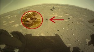 Снимок с Марса потряс ученых! Объект похожий на существо. Марсоход Curiosity и Шампо