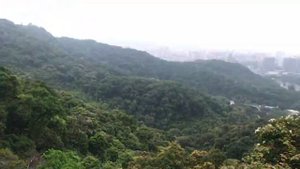 Гуанчжоу Гора Байюнь 白云山 Baiyun mountain