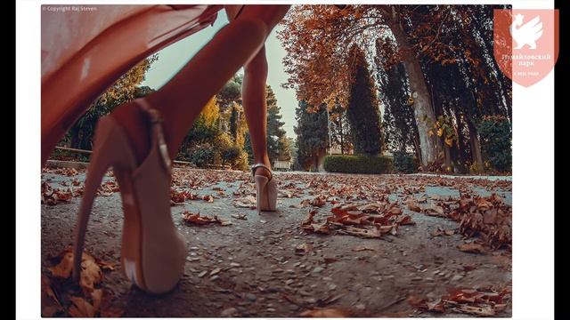 Онлайн-курс "Фотография как искусство": фотографы арабских стран