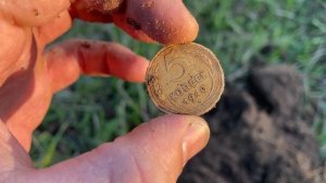 Накопал советских монет, поиск монет с металлоискателем tianxun tx-850