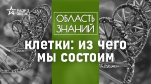 Что находится внутри клетки человека? Лекция биолога Егора Мусина