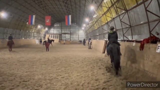 VLOG/Очередной новый лошарик?/loshariki смотреть онлайн