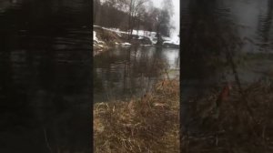 Плотина в Кубасово, первая рыбалка на хищника