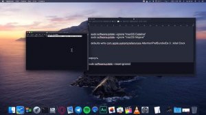 КАК УБРАТЬ ОБНОВЛЕНИЕ MACOS И ОПОВЕЩЕНИЕ В DOCK?!ХАКИНТОШ!