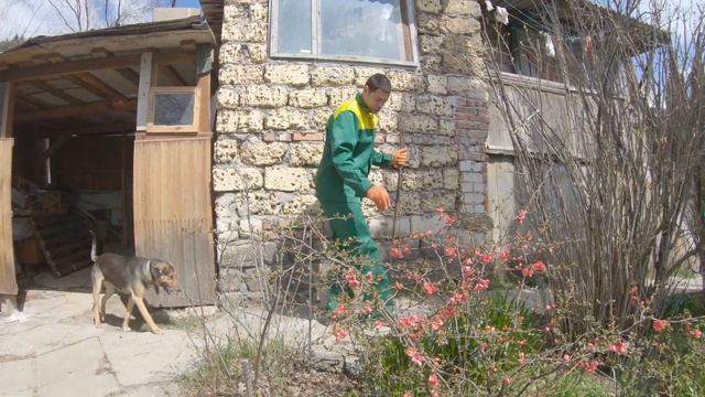 Крымские будни. Огораживаем клумбу дёшево и красиво. Делаем забор из пластиковой сетки своими рукам