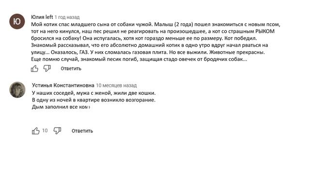 ЖИВОТНЫЕ Пришли На ПОМОЩЬ Человеку | Реальные Истории Из Комментариев смотреть онлайн