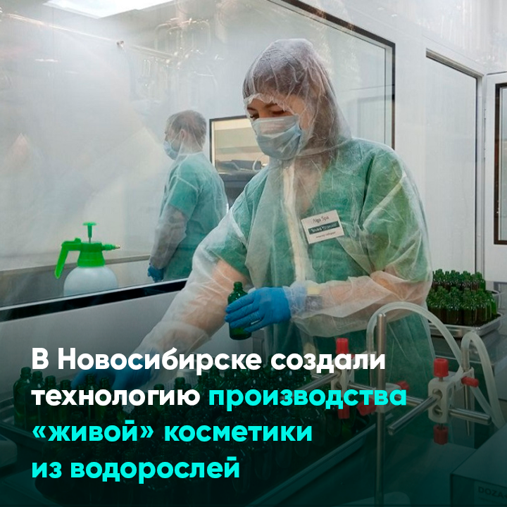 В Новосибирске создали технологию производства «живой» косметики из водорослей
