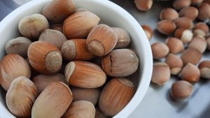 ФУНДУК . МОИ СОРТА ??