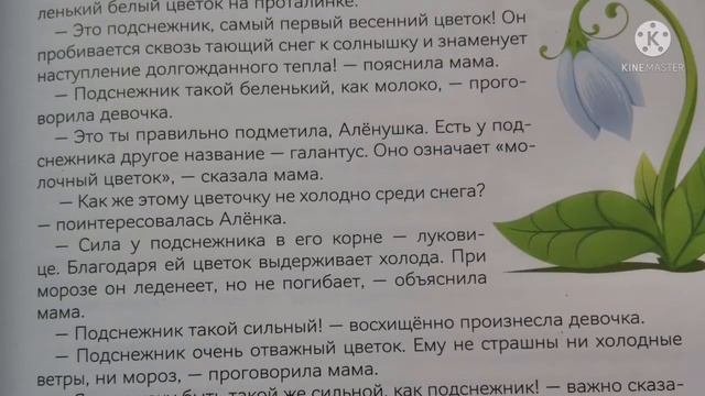 Какой цветок расцветает весной первым?