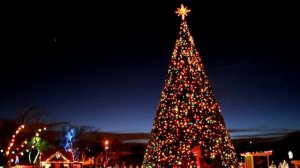 Почему на новый год ставят елку?